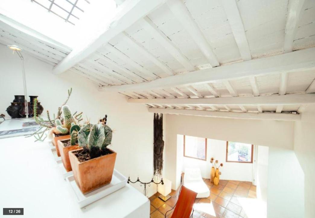 Luxury Art Apartment In Trastevere With Terrace Rom Exteriör bild